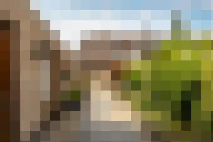 Berkenring 65 Zundert thumbnail 24