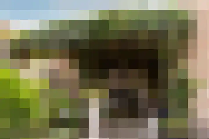 Berkenring 65 Zundert thumbnail 25