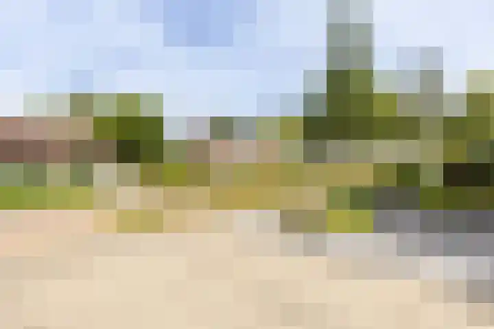 Berkenring 65 Zundert thumbnail 27