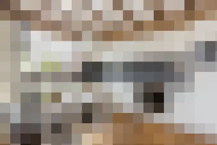 Berkenring 65 Zundert thumbnail 4