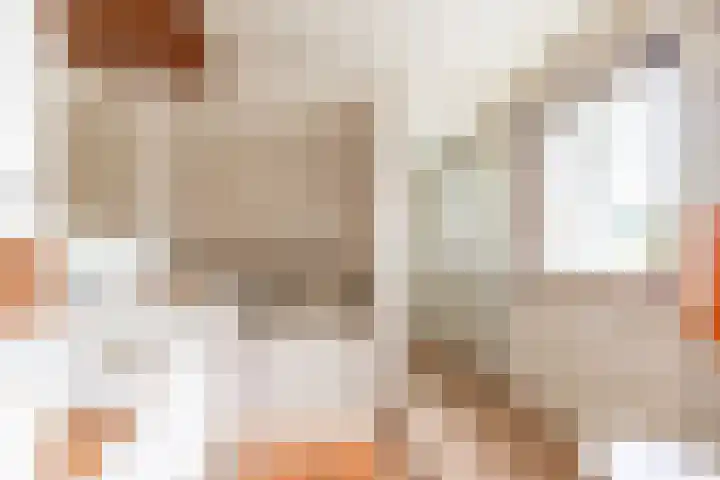 Berkenring 65 Zundert thumbnail 5