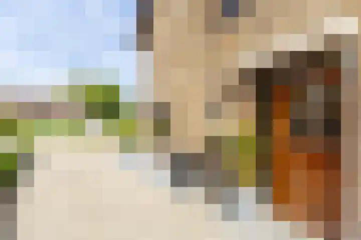 Berkenring 65 Zundert thumbnail 7