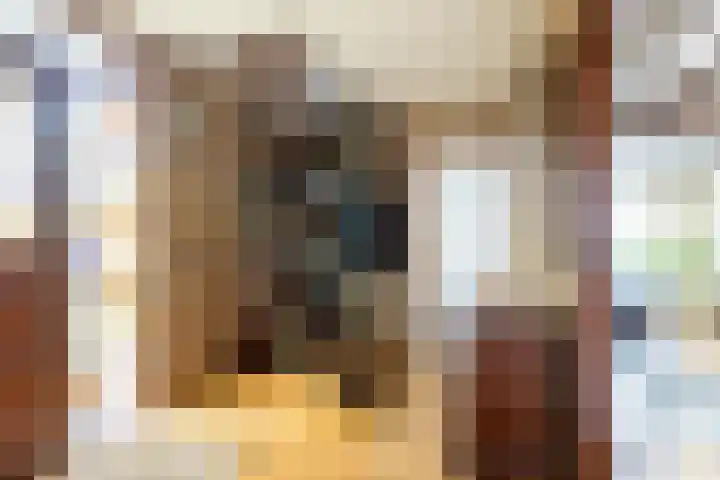 Berkenring 65 Zundert thumbnail 8