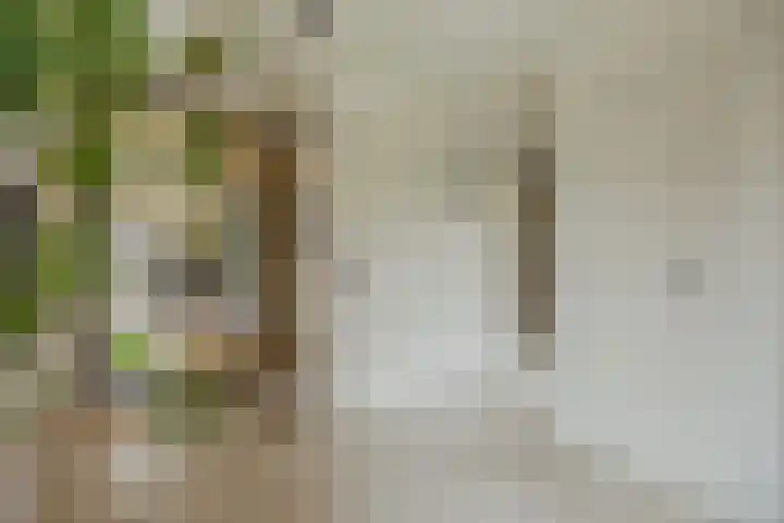 Berkenring 86 Zundert thumbnail 11