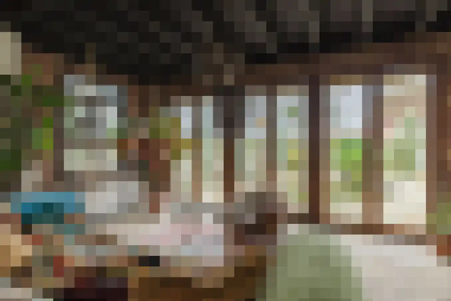 Berkenring 86 Zundert thumbnail 11
