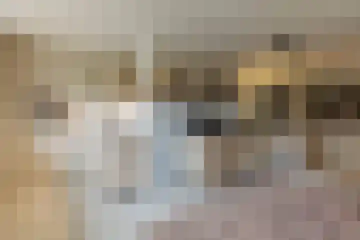 Berkenring 86 Zundert thumbnail 19