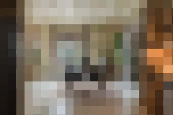 Berkenring 86 Zundert thumbnail 26