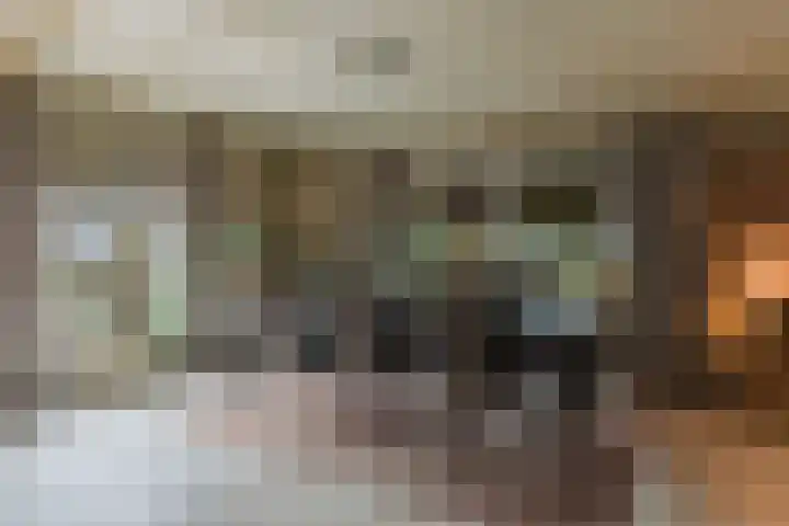 Berkenring 86 Zundert thumbnail 30