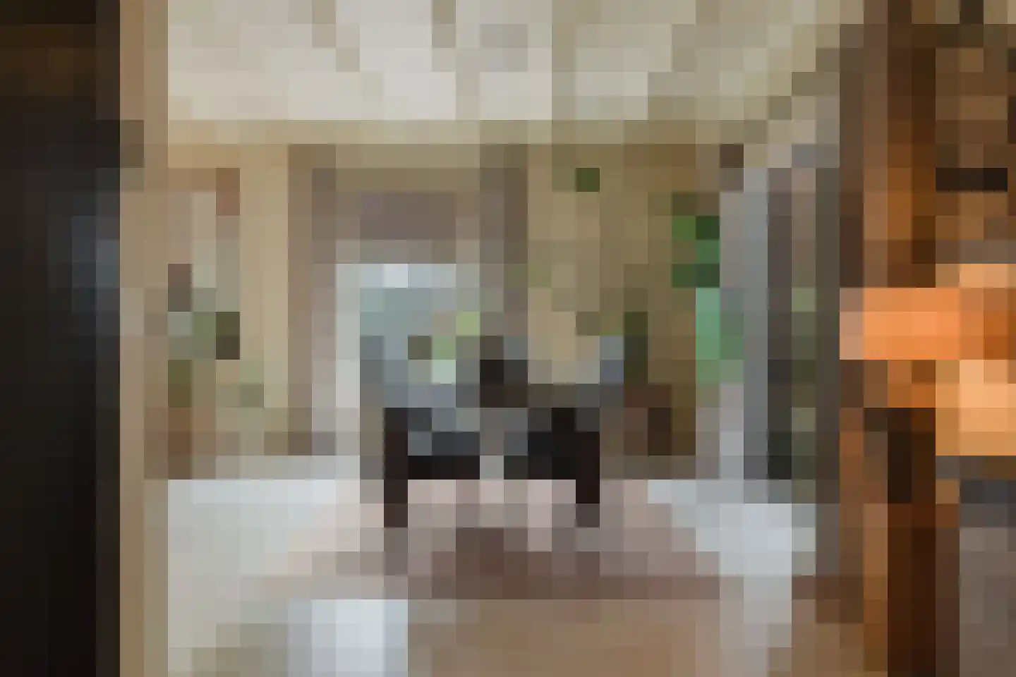 Berkenring 86 Zundert thumbnail 31