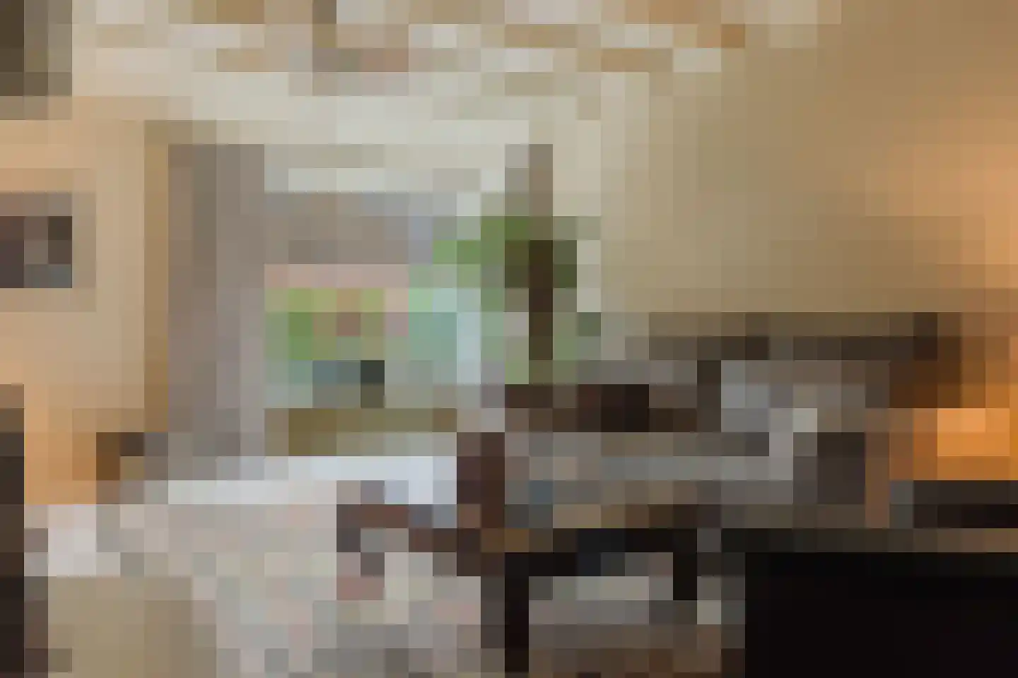 Berkenring 86 Zundert thumbnail 33