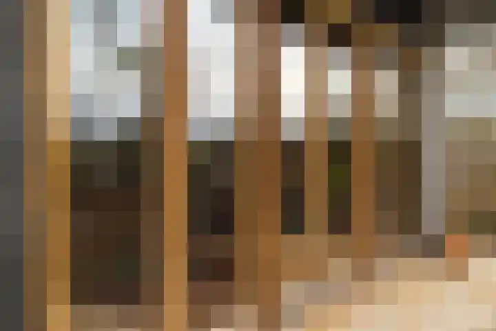 Berkenring 86 Zundert thumbnail 33