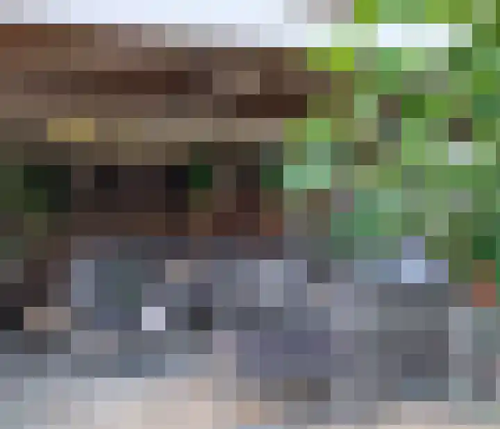 Berkenring 86 Zundert thumbnail 36