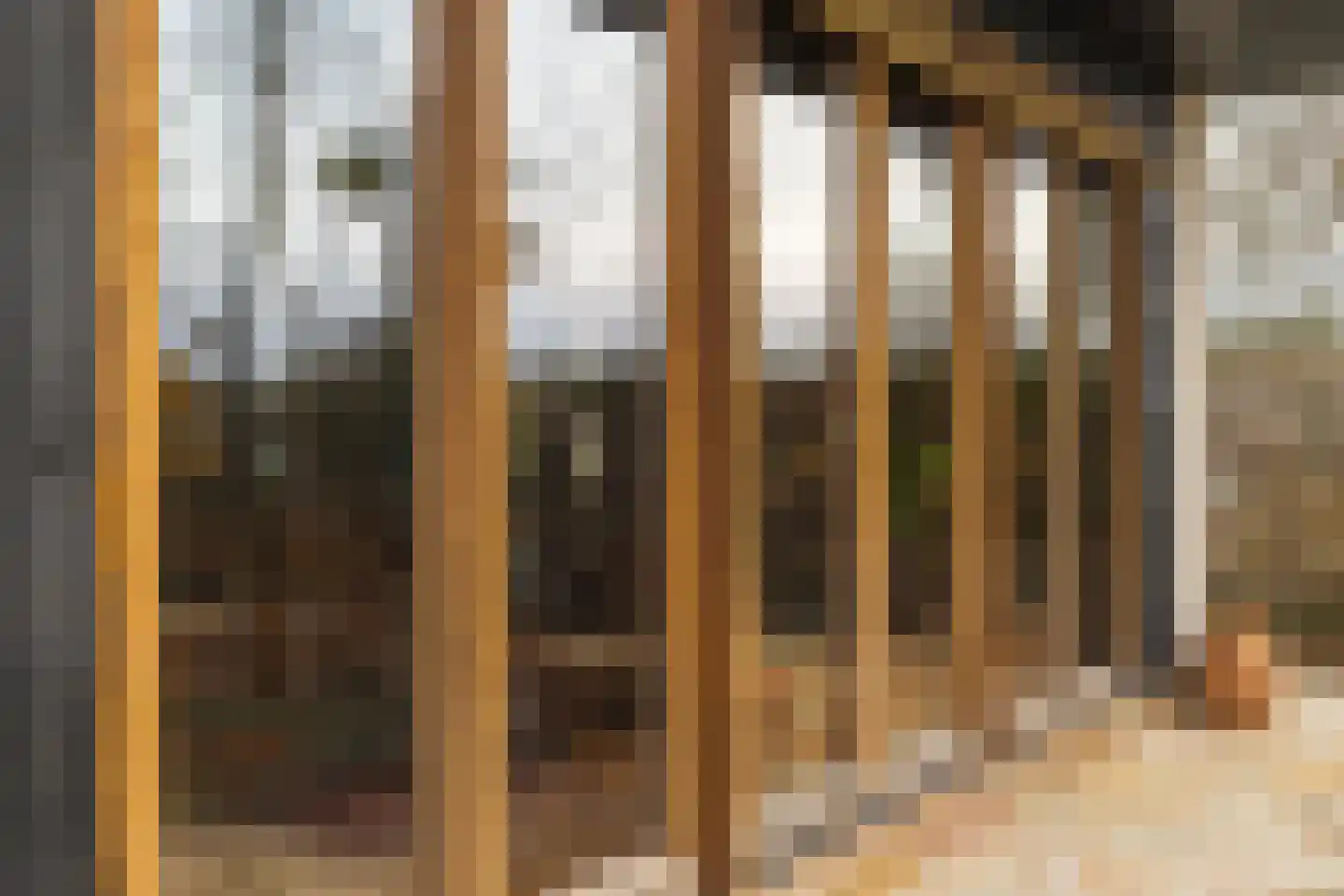 Berkenring 86 Zundert thumbnail 38