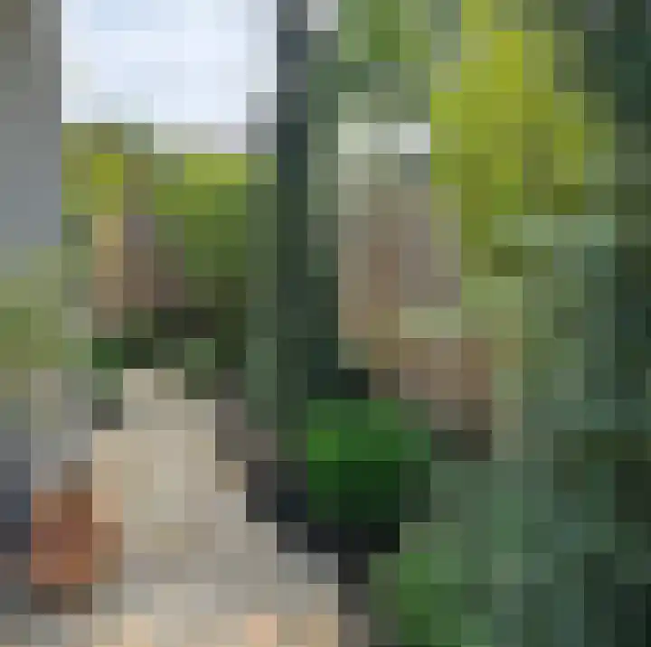 Berkenring 86 Zundert thumbnail 38
