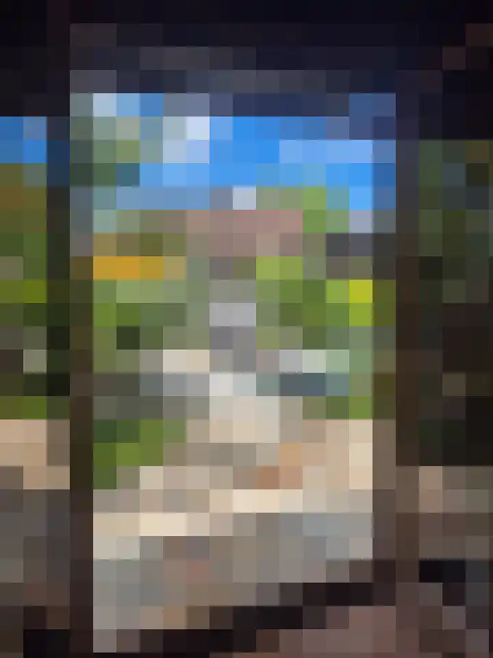 Berkenring 86 Zundert thumbnail 40