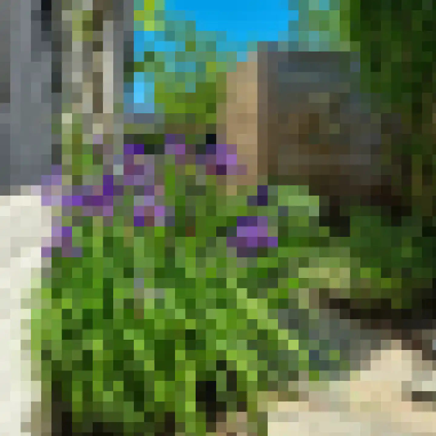 Berkenring 86 Zundert thumbnail 43