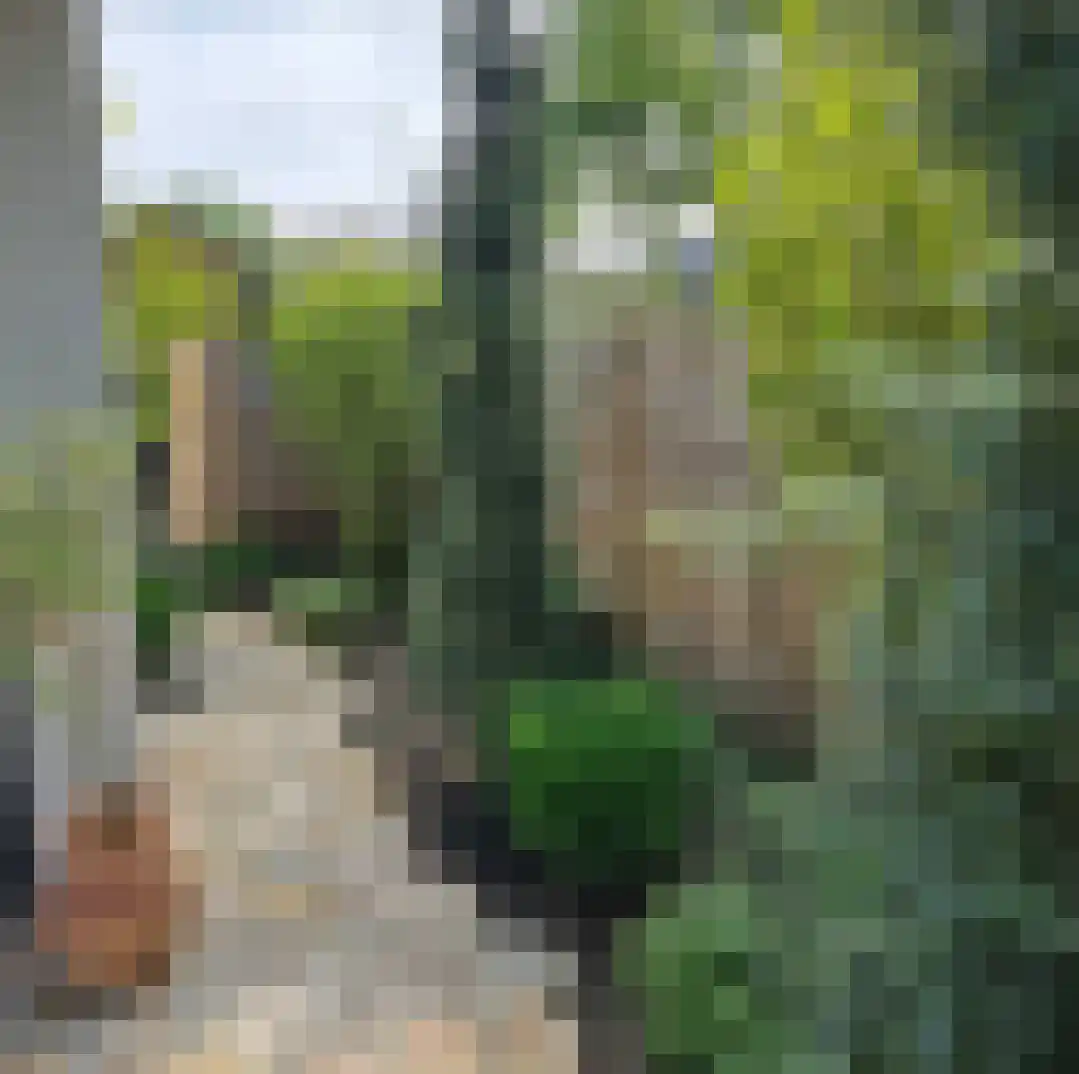 Berkenring 86 Zundert thumbnail 44