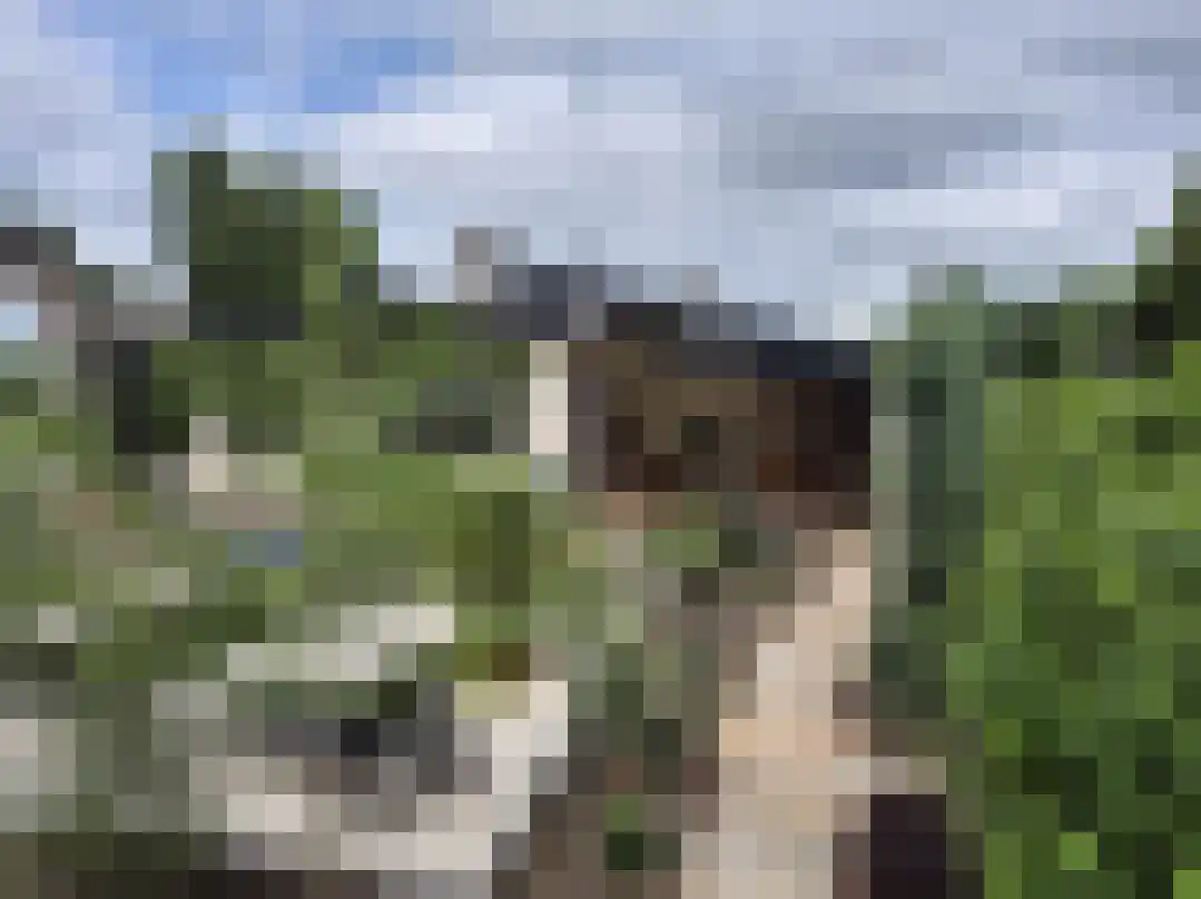 Berkenring 86 Zundert thumbnail 45