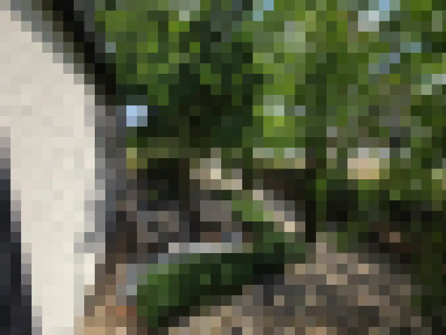 Berkenring 86 Zundert thumbnail 47