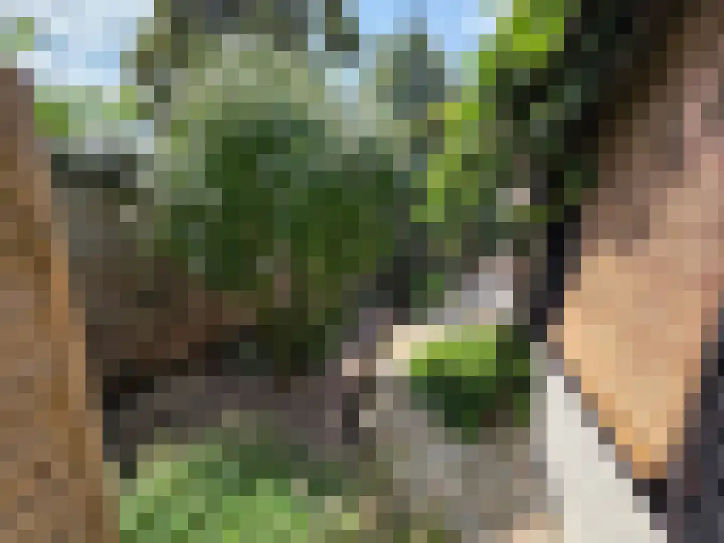 Berkenring 86 Zundert thumbnail 48
