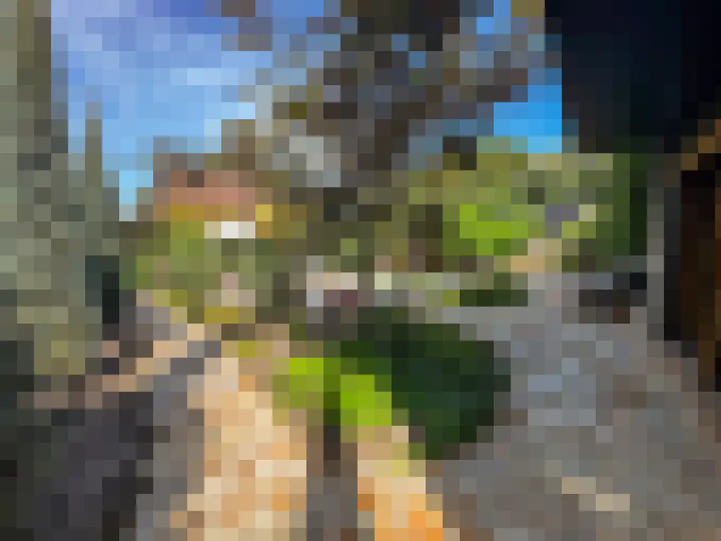 Berkenring 86 Zundert thumbnail 49
