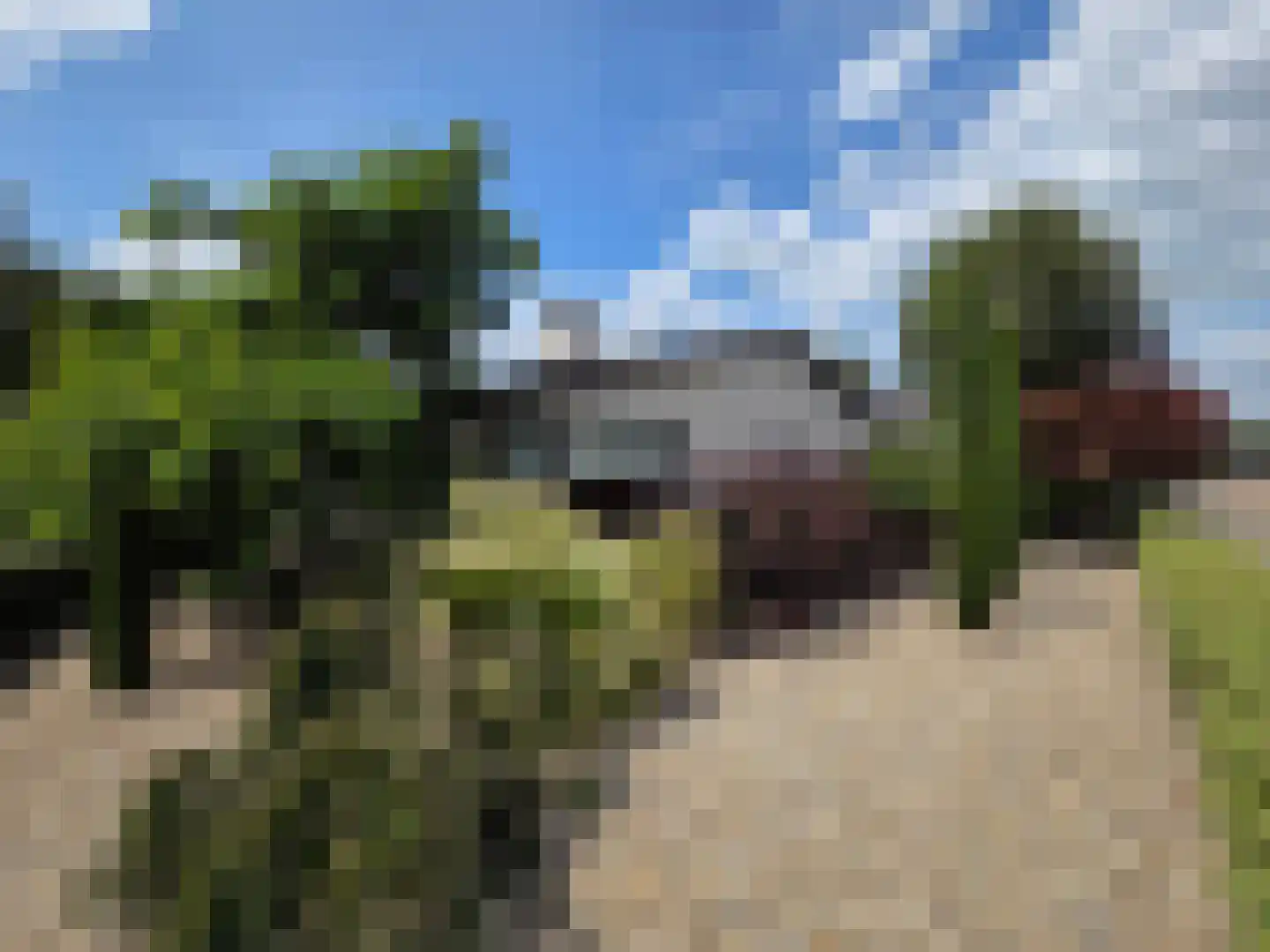 Berkenring 86 Zundert thumbnail 5