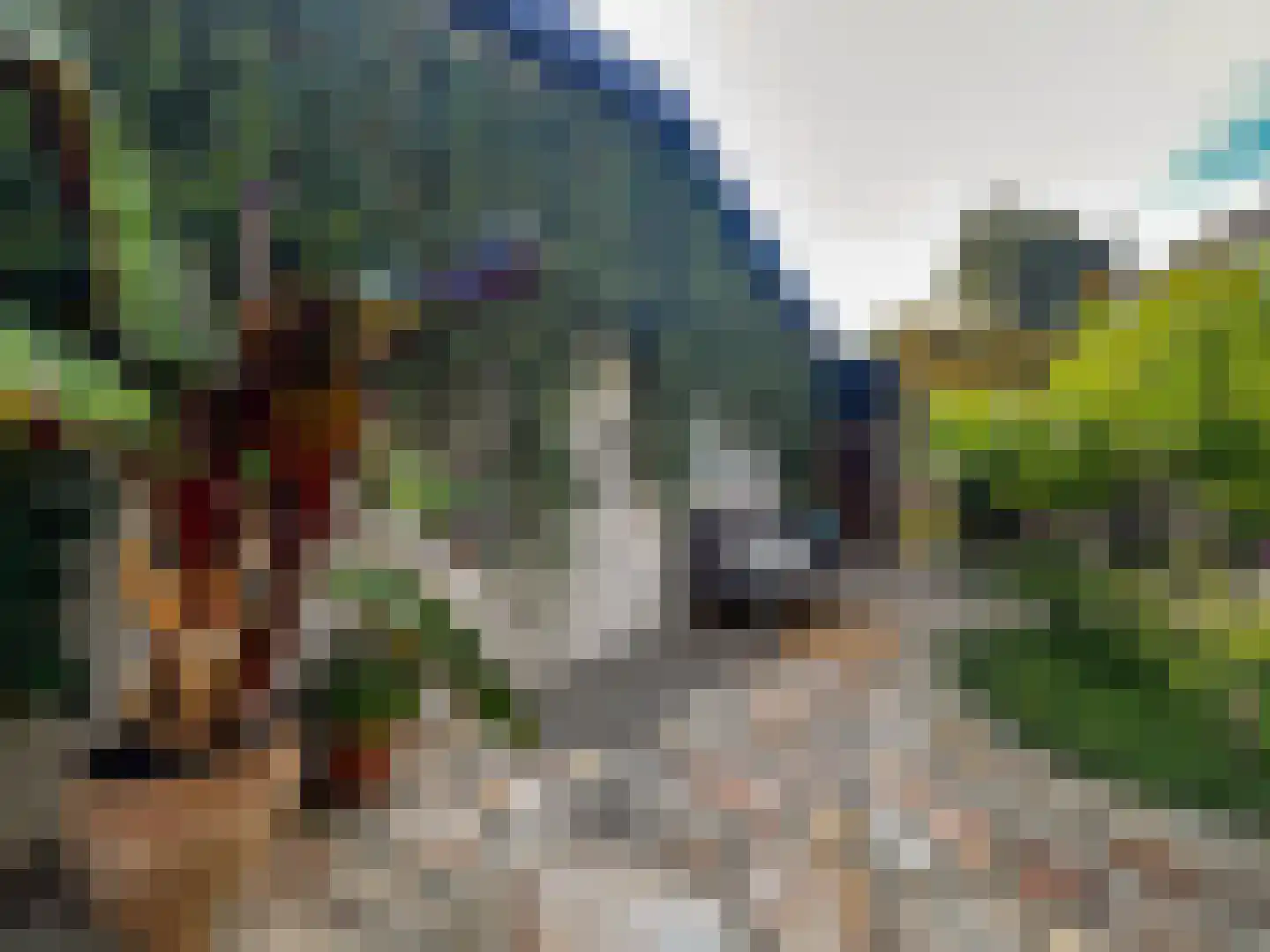 Berkenring 86 Zundert thumbnail 50