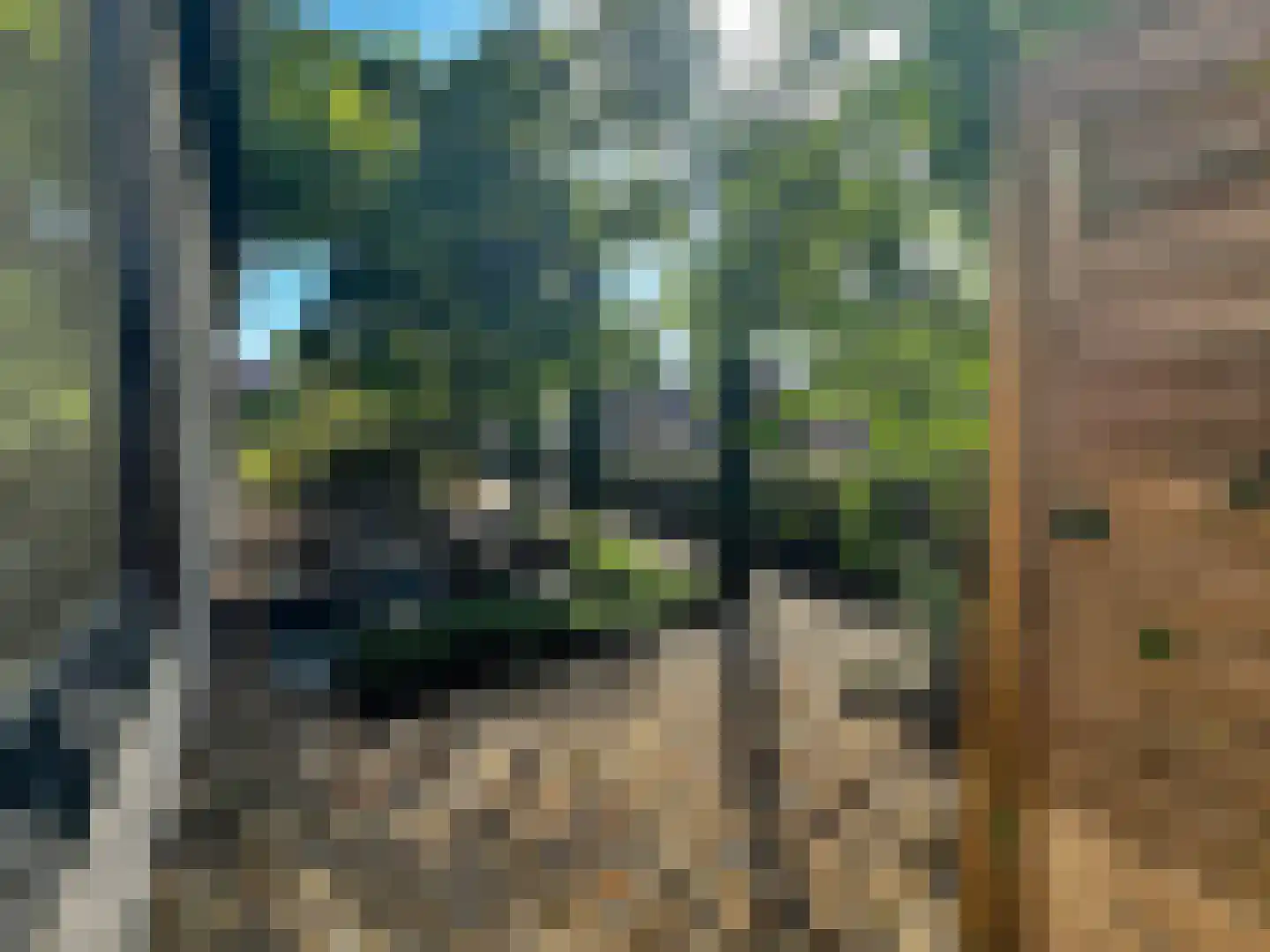 Berkenring 86 Zundert thumbnail 51