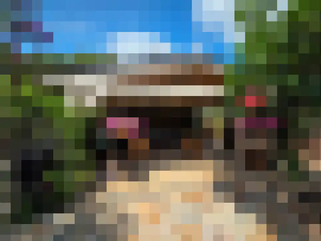 Berkenring 86 Zundert thumbnail 53