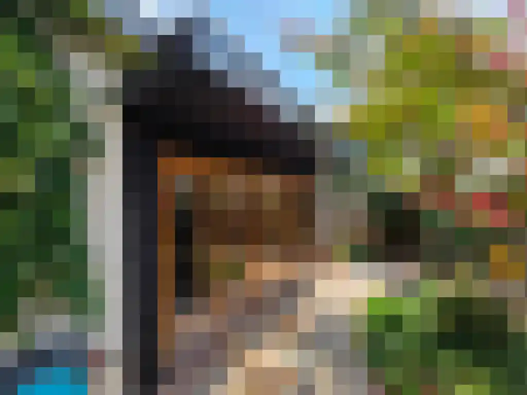 Berkenring 86 Zundert thumbnail 54