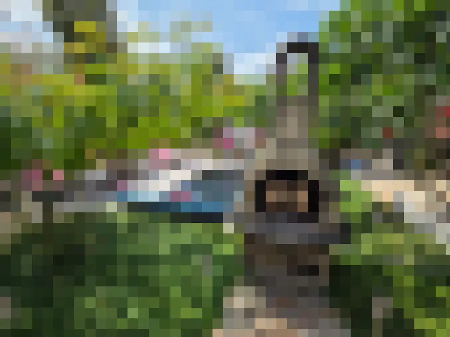 Berkenring 86 Zundert thumbnail 57