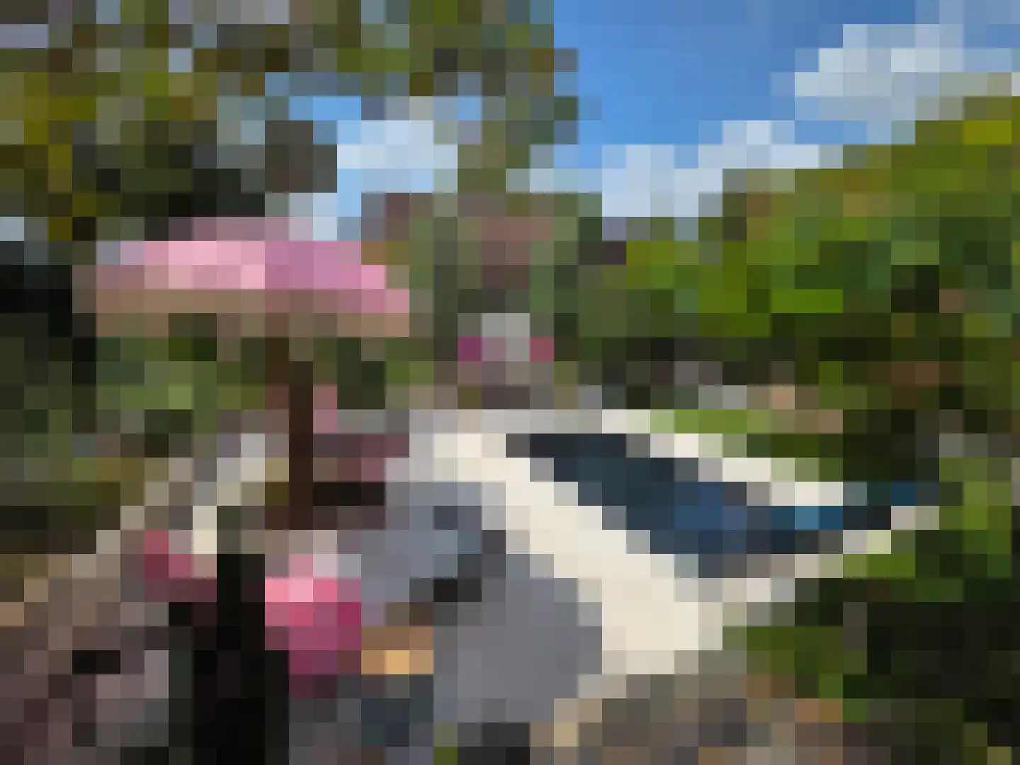 Berkenring 86 Zundert thumbnail 58