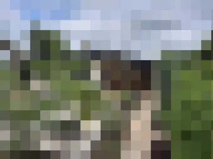 Berkenring 86 Zundert thumbnail 6