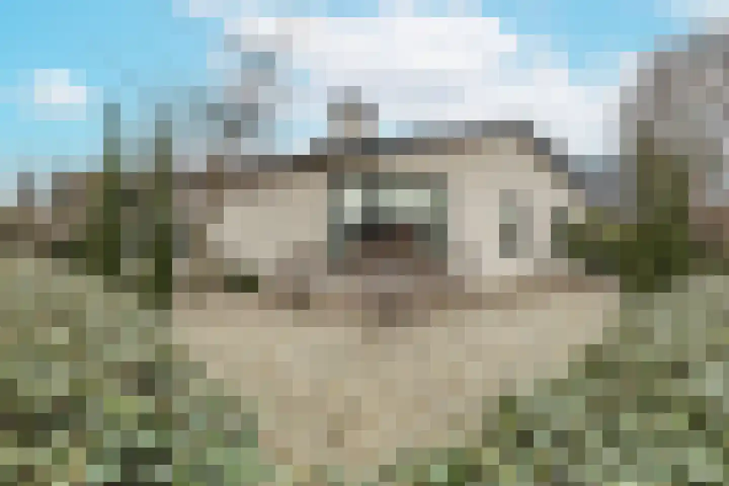 Berkenring 86 Zundert thumbnail 6