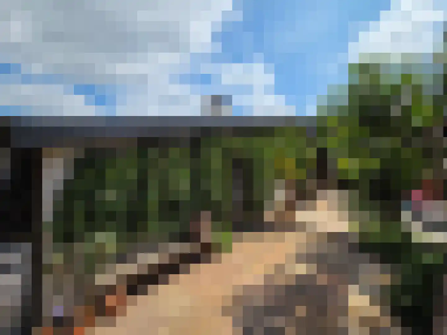 Berkenring 86 Zundert thumbnail 61