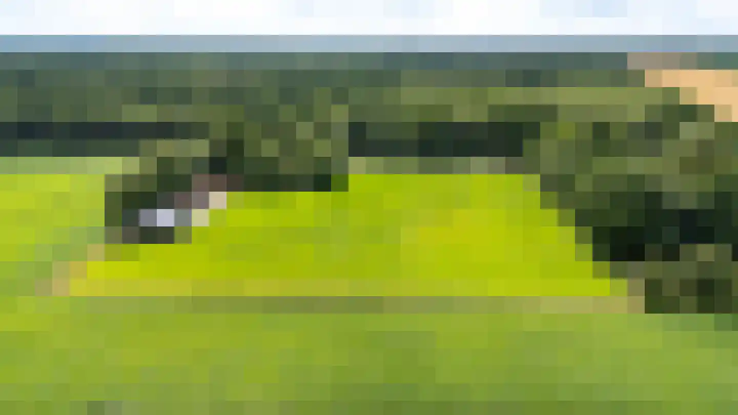 Berkenrode 10 Barger-Compascuum thumbnail 12
