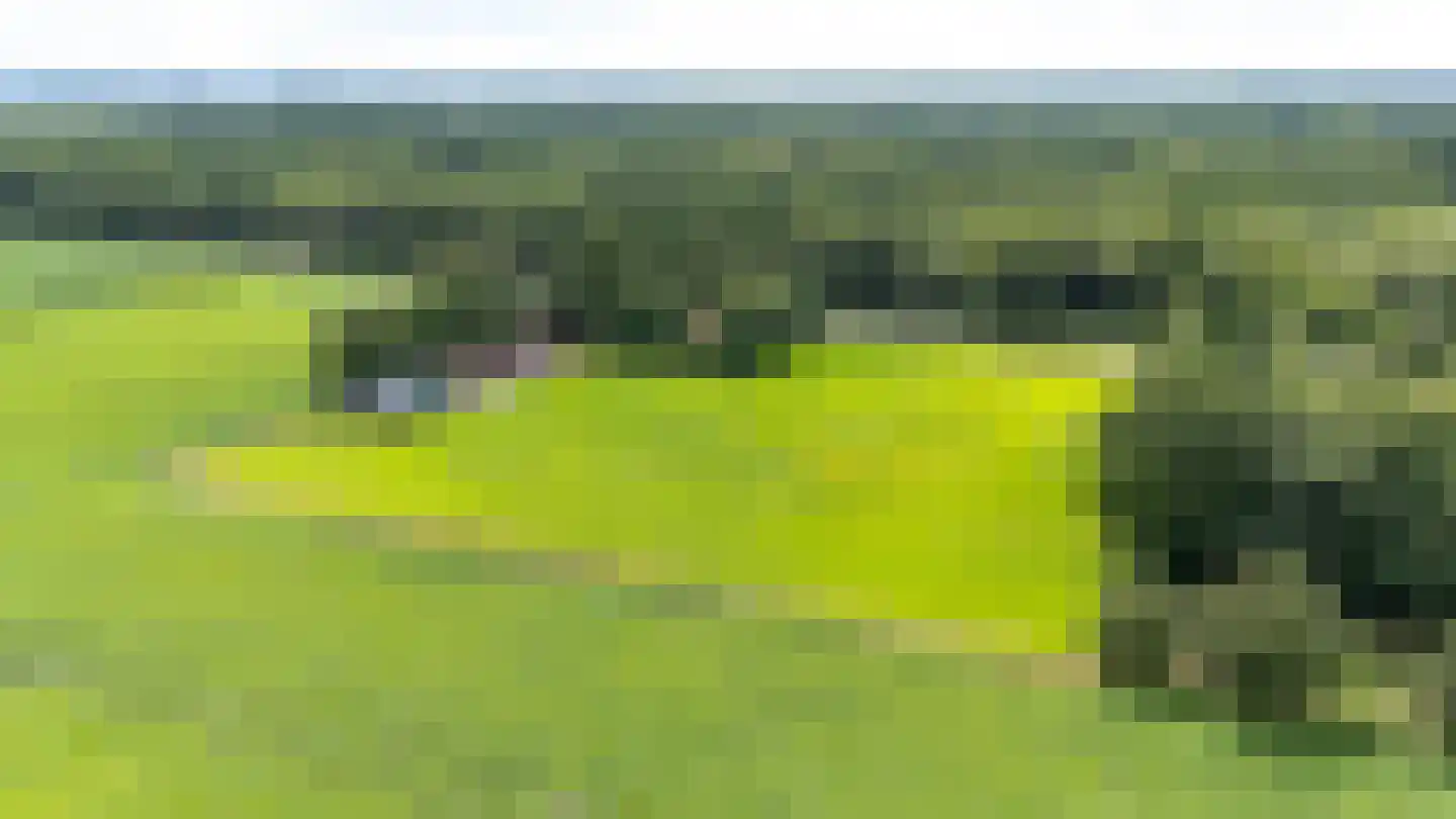 Berkenrode 10 Barger-Compascuum thumbnail 13