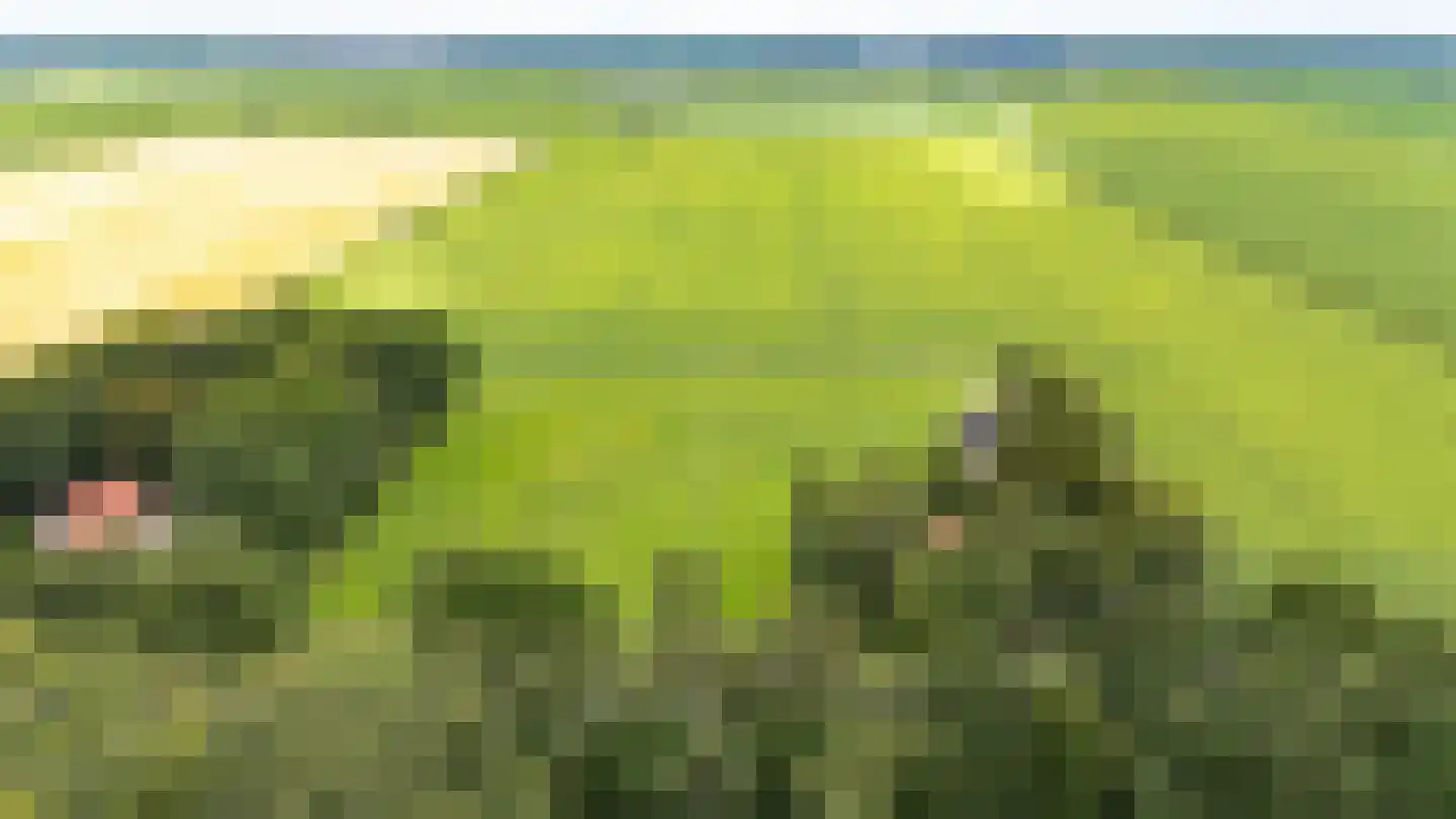 Berkenrode 10 Barger-Compascuum thumbnail 17