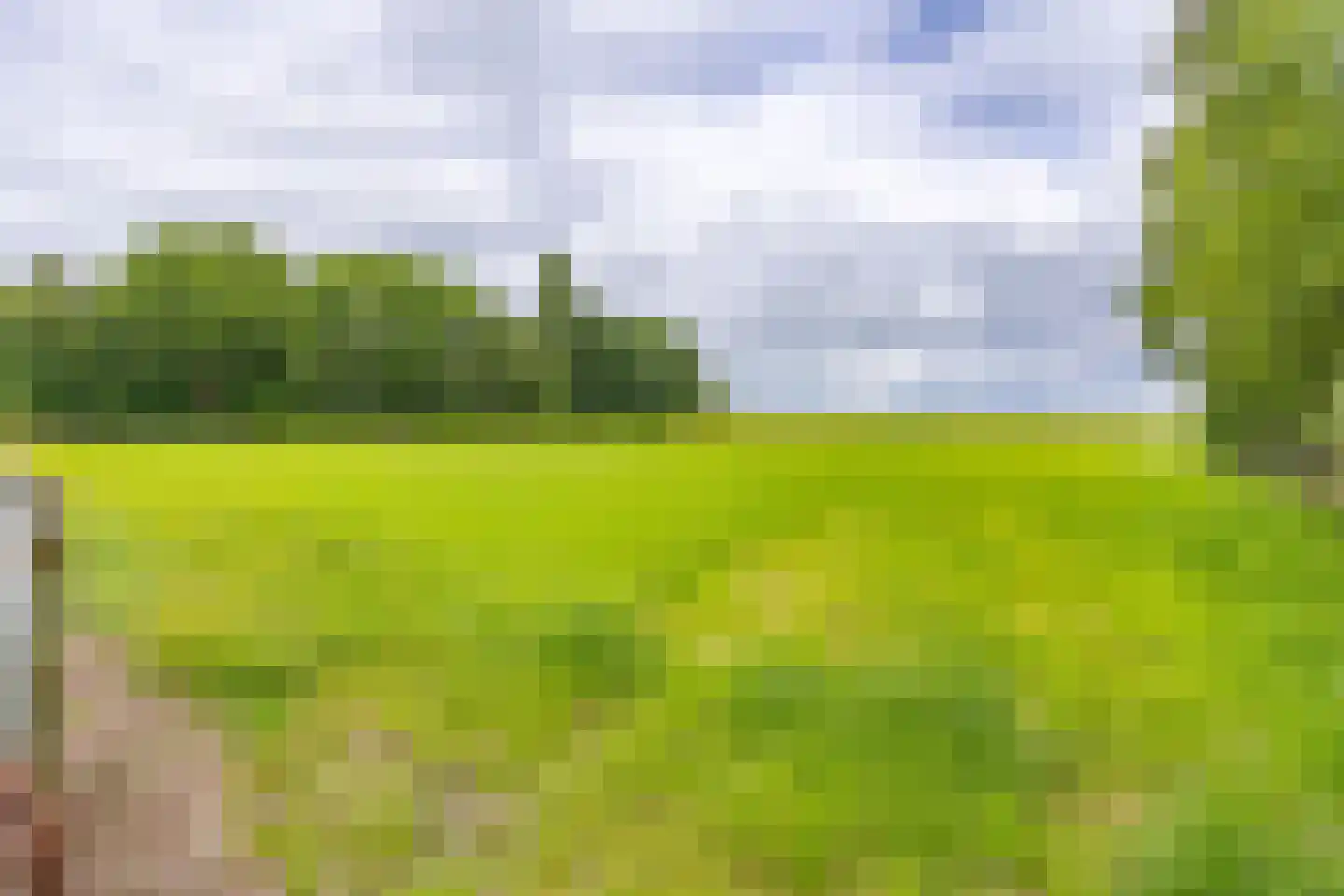 Berkenrode 10 Barger-Compascuum thumbnail 19