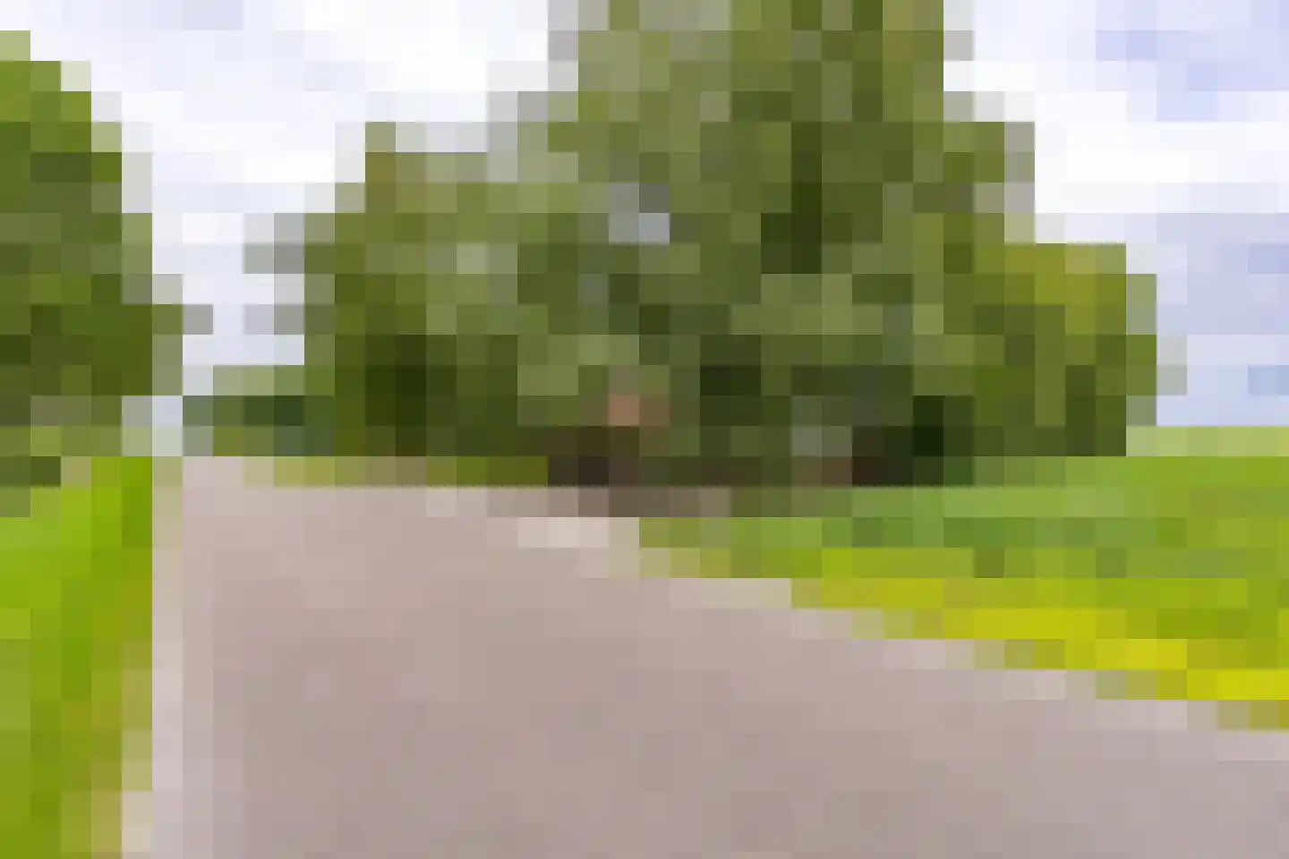 Berkenrode 10 Barger-Compascuum thumbnail 20