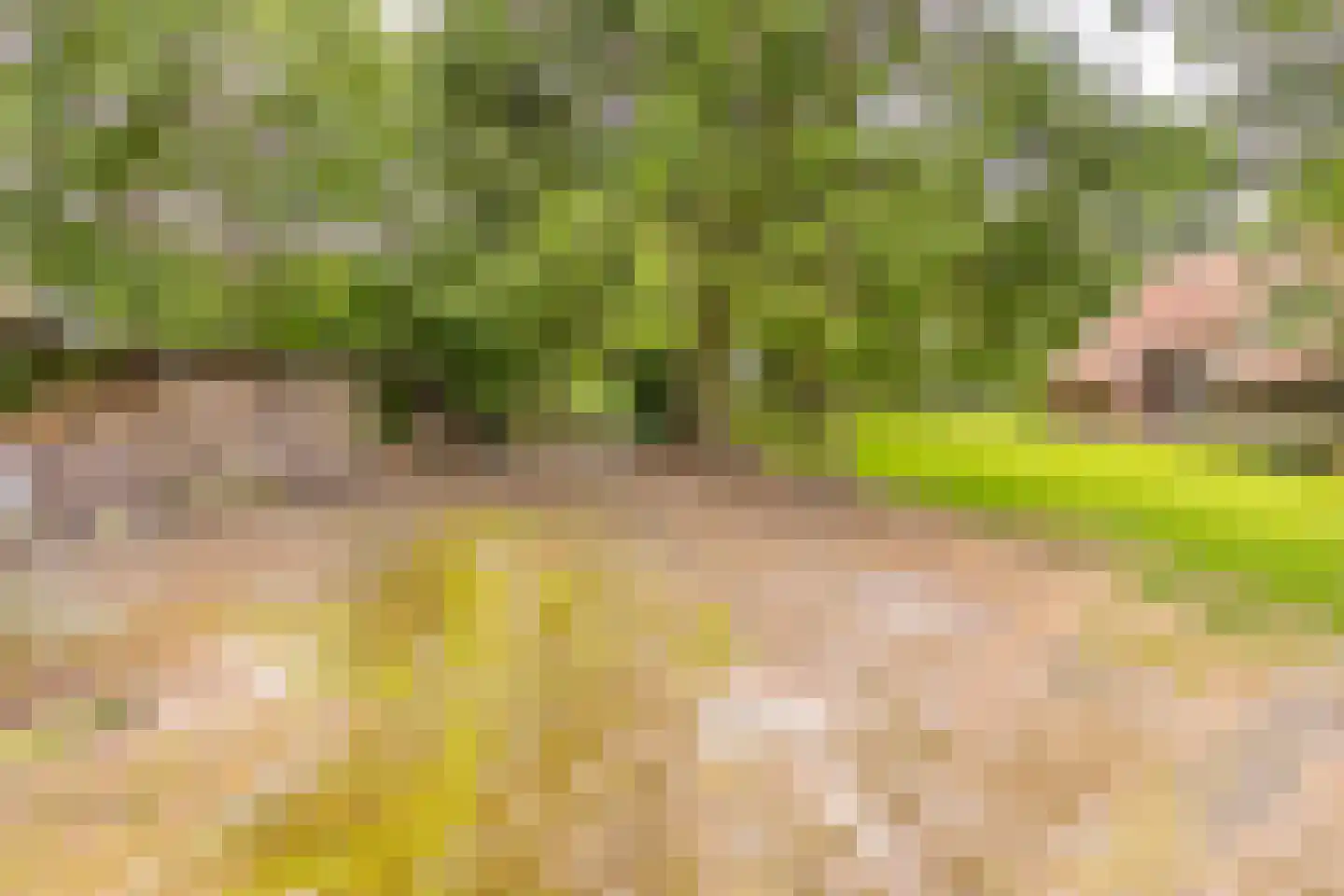 Berkenrode 10 Barger-Compascuum thumbnail 5