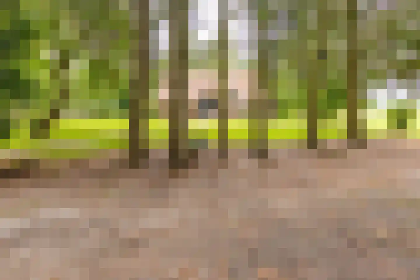 Berkenrode 10 Barger-Compascuum thumbnail 6