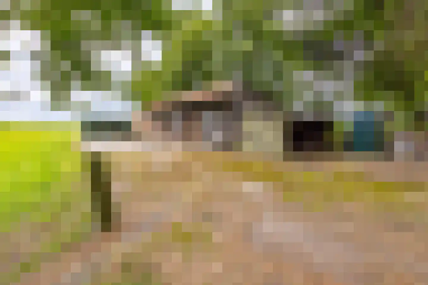 Berkenrode 10 Barger-Compascuum thumbnail 9