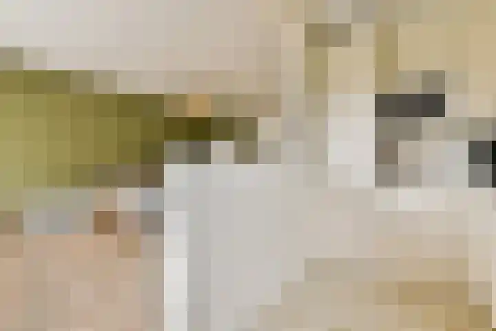 Berkenrodelaan 12 Amstelveen thumbnail 11
