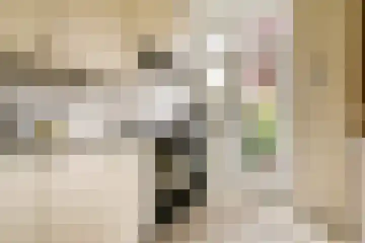 Berkenrodelaan 12 Amstelveen thumbnail 13