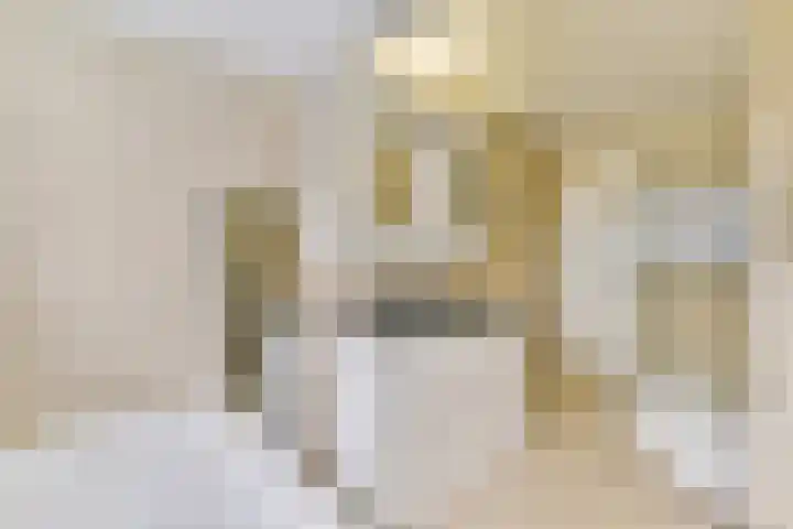 Berkenrodelaan 12 Amstelveen thumbnail 17