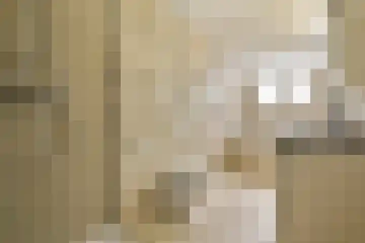 Berkenrodelaan 12 Amstelveen thumbnail 19