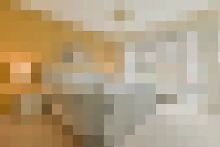Berkenrodelaan 12 Amstelveen thumbnail 20