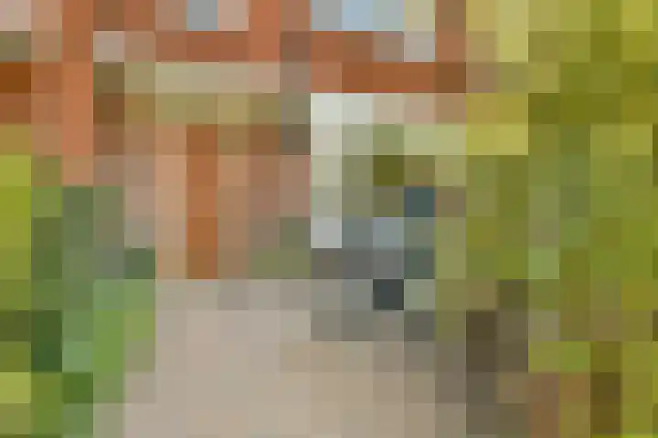 Berkenrodelaan 12 Amstelveen thumbnail 30