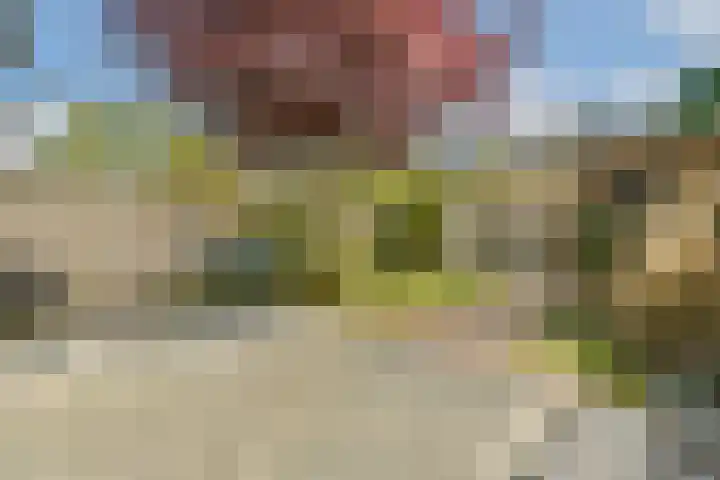 Berkenrodelaan 12 Amstelveen thumbnail 31